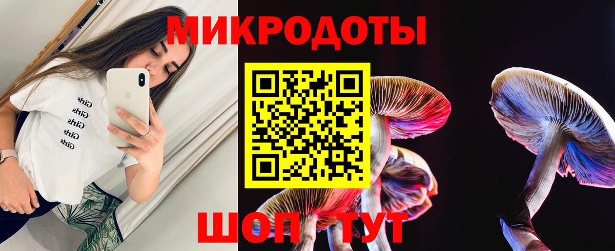 Галлюциногенные грибы Psilocybe Спасск-Дальний