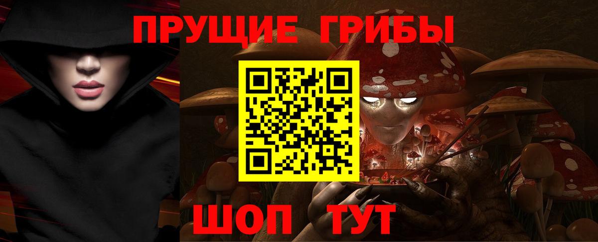 где продают наркотики  Псилоцибиновые грибы Cubensis  Вход с VPN  Спасск-Дальний 